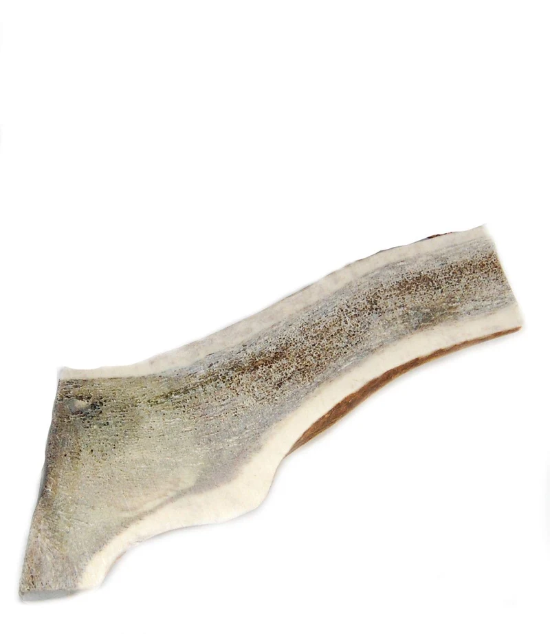 Corne d’élan scindée Big Dog Antler Chews – XXL, Extra Épaisse (6–8 pouces) – pour chiens grands et très grands