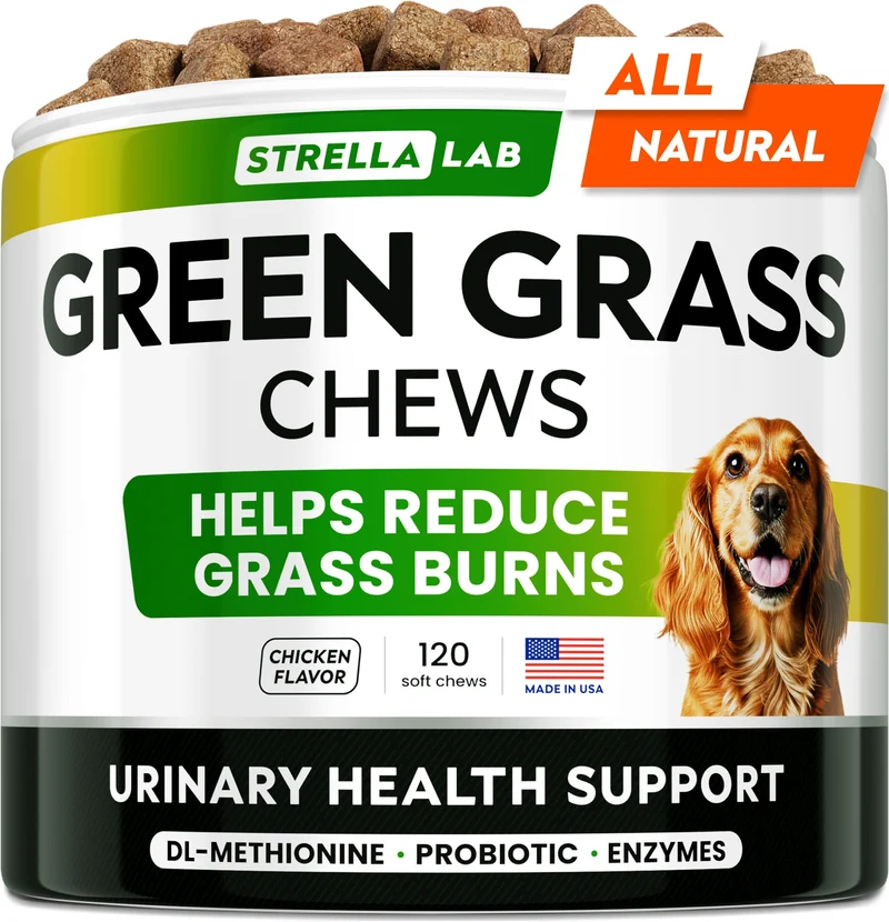 STRELLALAB Friandises Herbe Verte pour Chien – Neutralisateur d’Urine et Probiotiques – Fabriqué aux États‑Unis