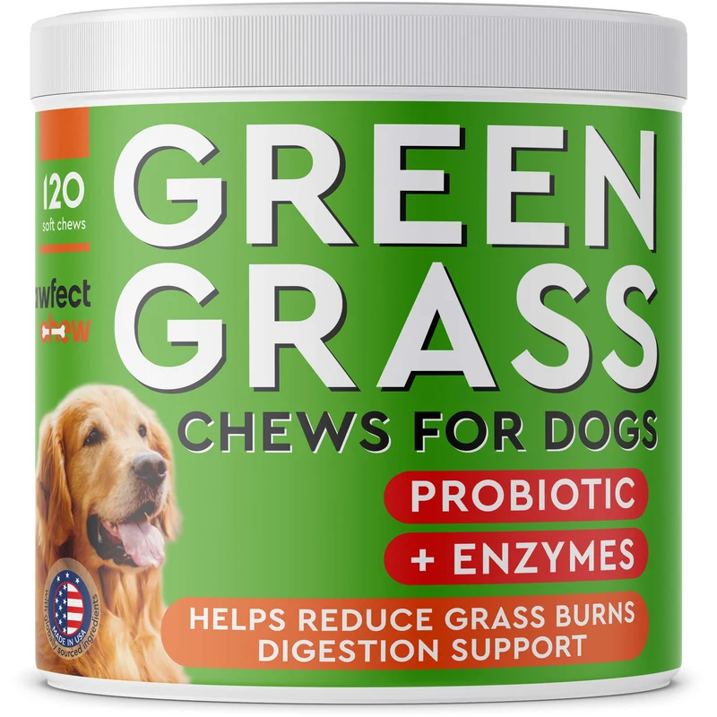 PAWFECTCHEW Gazon Vert pour Chiens – Friandises Vertes, Neutralisation Urine, Saveur Bacon, Fabriqué aux États‑Unis – 120 Friandises