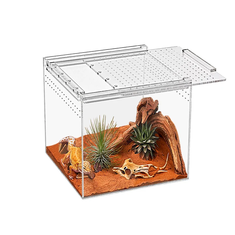 KAKOOTI Terrarium Reptiles 6,8 × 6,8 × 6 pouces – Enceinte Acrylique Magnétique