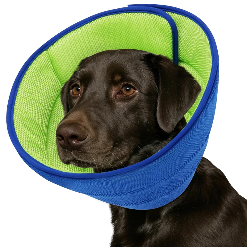 Fickte Collier Conique Doux Réglable – Confort Après Chirurgie pour Chiens (L+)