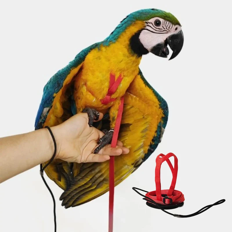 Barn Eleven Harnais Oiseau Ajustable avec Longe 78,7 pouces – Traction Extérieure pour Perroquets XL