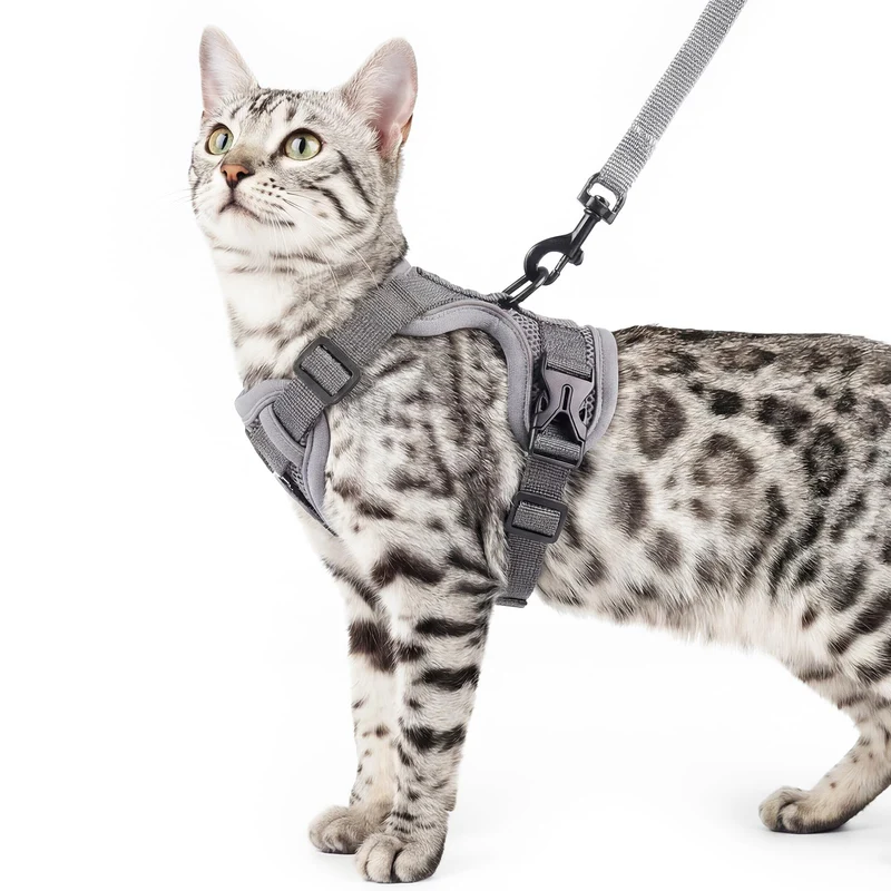 pangdi Harnais et Laisse pour Chat XL – Harnais Tactique Anti-Fuite Gris