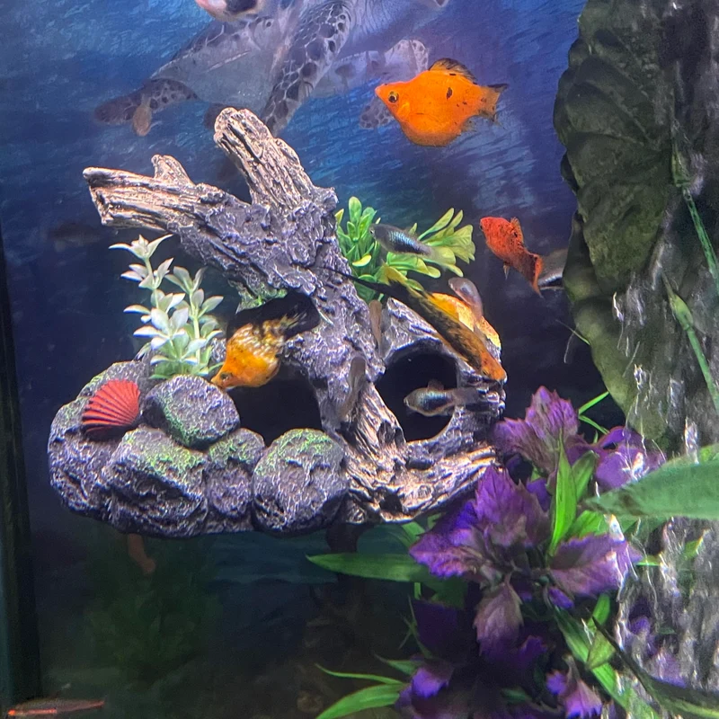 OrnaMounts Décor d'Aquarium Magnétique – Bois Flotté Murale pour Aquariums, Élévation d'Aquascape Sans Ventouse