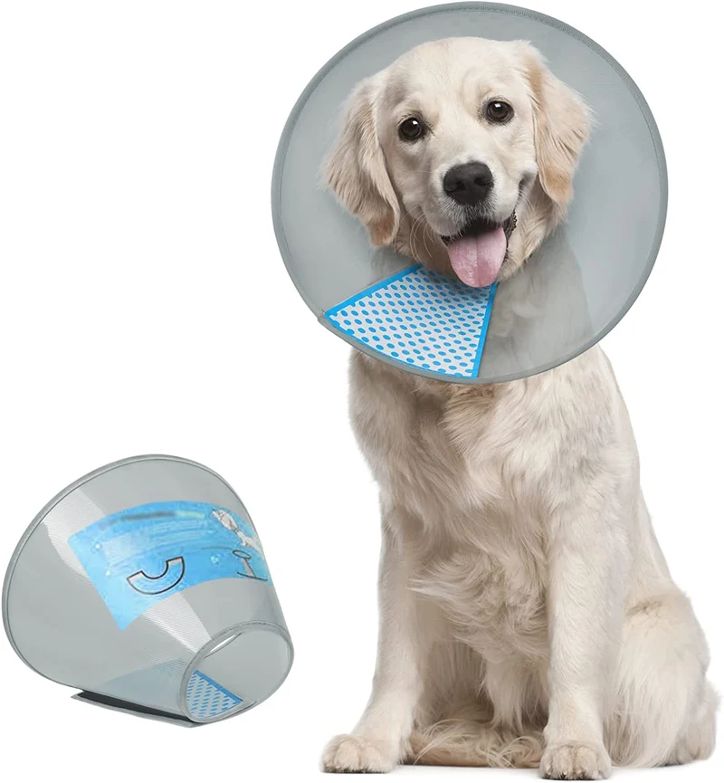 Supet Collier Conique pour Chien – Réglable et Confortable après Chirurgie