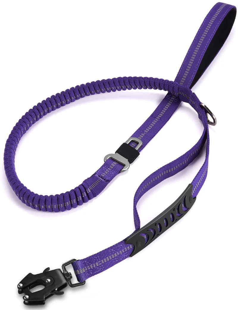 Tinmarda Laisse pour Chien Lourde 4–6 FT – Absorption d’Impact, Poignées Rembourrées, Clip Métal et Réfléchissante (Bleu)