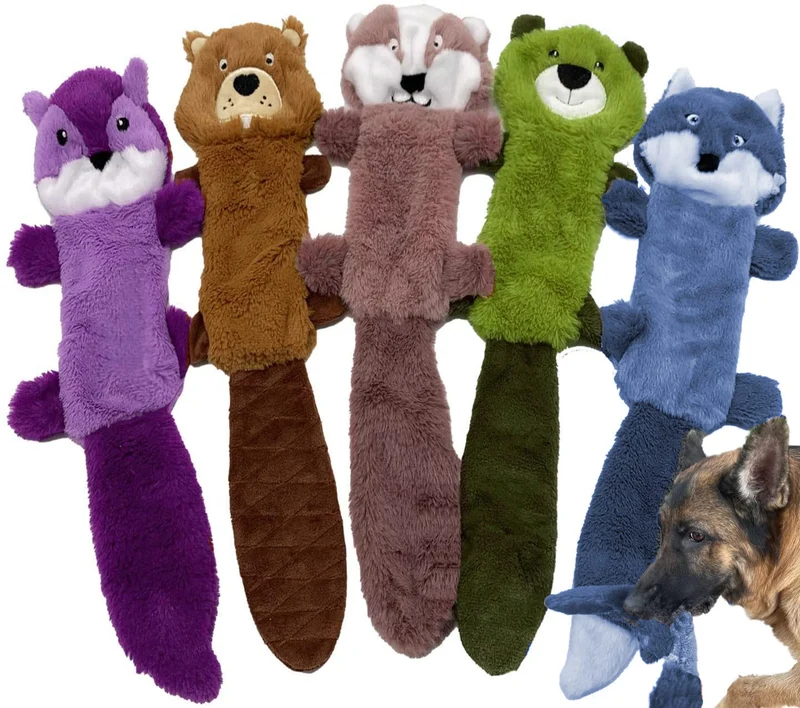 Jalousie – Lot de 5 Jouets pour Chiens Sans Garnissage, Bruit Crissant et Doublure Durable