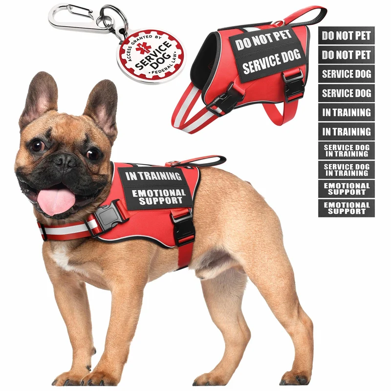 MOOGROU Gilet d’assistance pour chien — Harnais avec ID, patches et poignée, design réfléchissant (pour petits chiens)