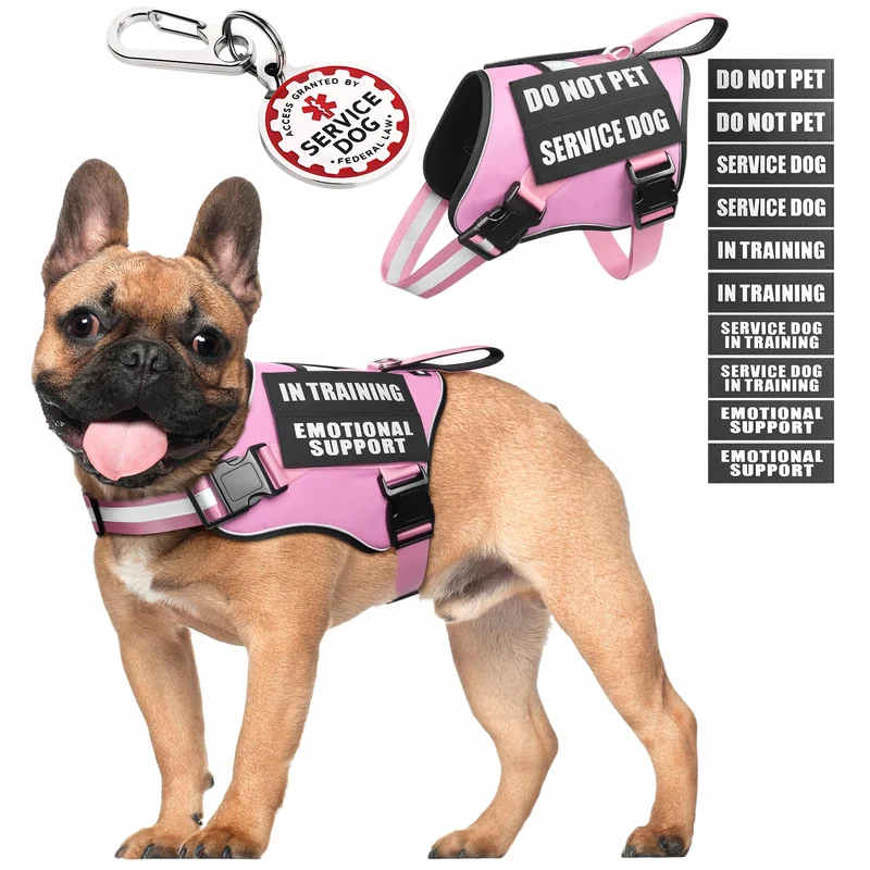MOOGROU Gilet d'Assistance pour Chien – Harnais Rose avec Médaillon Métallique, Patchs et Poignée (Taille S)