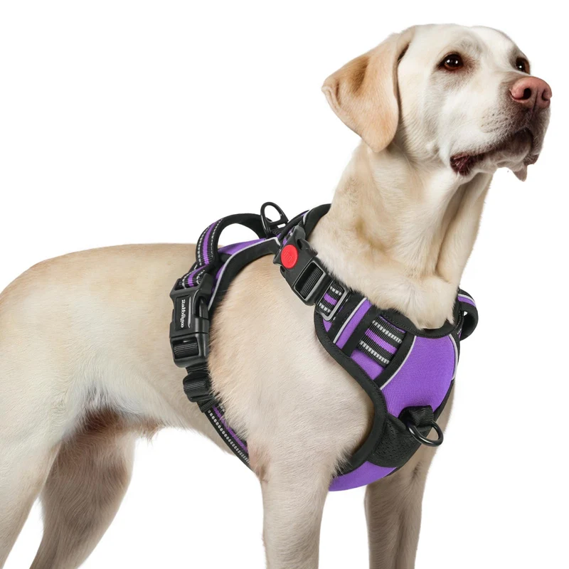 rabbitgoo Harnais pour Chien Grand — Sans Tirage, 3 Boucles, Doux Rembourré, Poignée et Réfléchissant Violet L