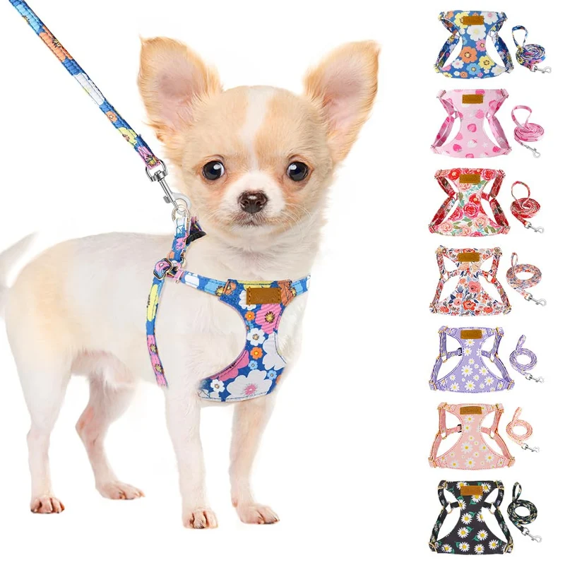 SlowTon Harnais Anti-Tirage pour Chien avec Laisse – Léger et Doux, Motif Fleuri Bleu, Taille XXS