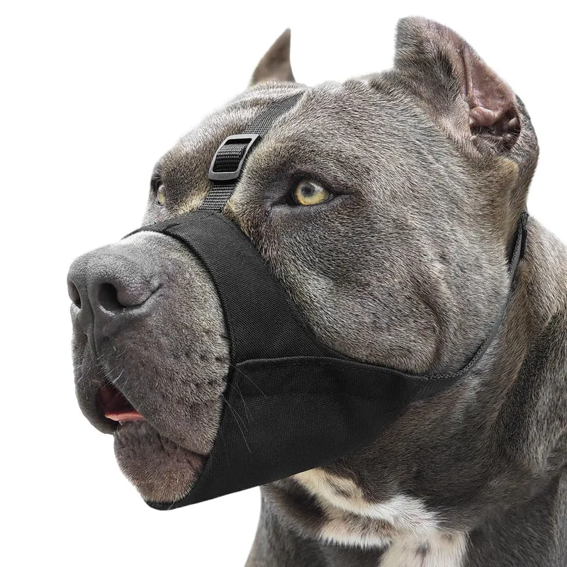 Mayerzon Mufle Pitbull – Mufle Doux, Sangle Anti-Glisse et Respirant pour American Bully, Bulldog et Rottweiler