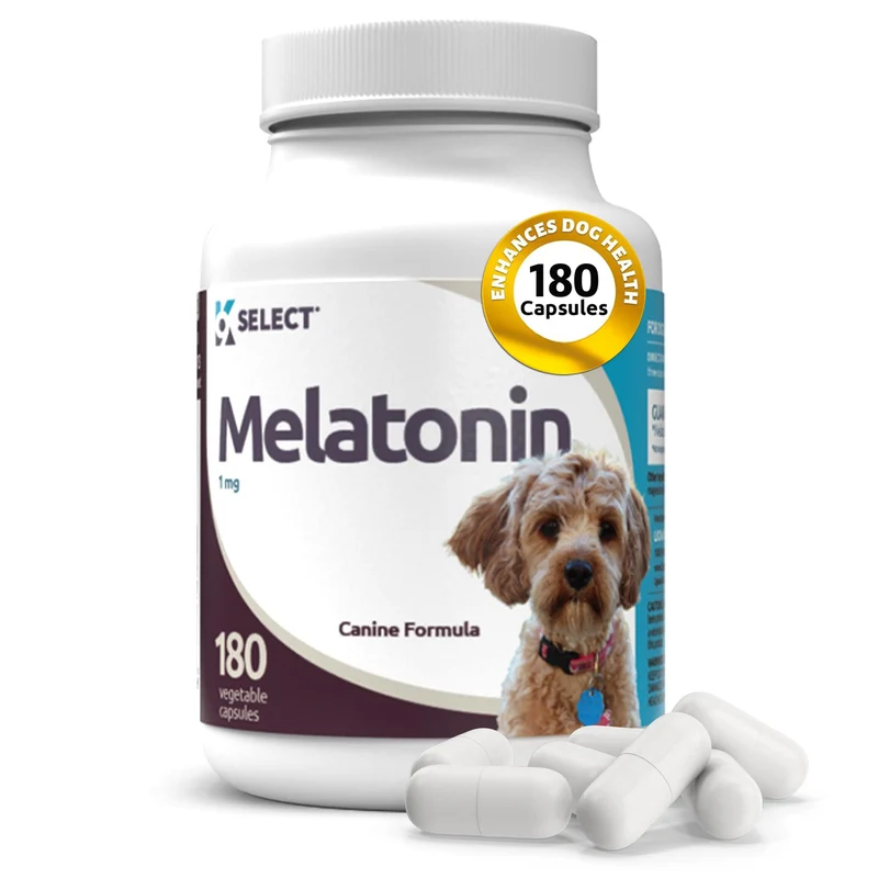 K9 Select Mélatonine pour Chiens – Aide au Calme et au Sommeil, 1 mg, 180 Capsules Végétales, Pour Petites Races jusqu'à 13 kg