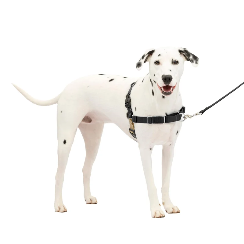 PetSafe Easy Walk Harnais pour Chien – Pas de Traction, Attache Poitrine Frontale, Confort et Contrôle (M/L, Noir/Argent)