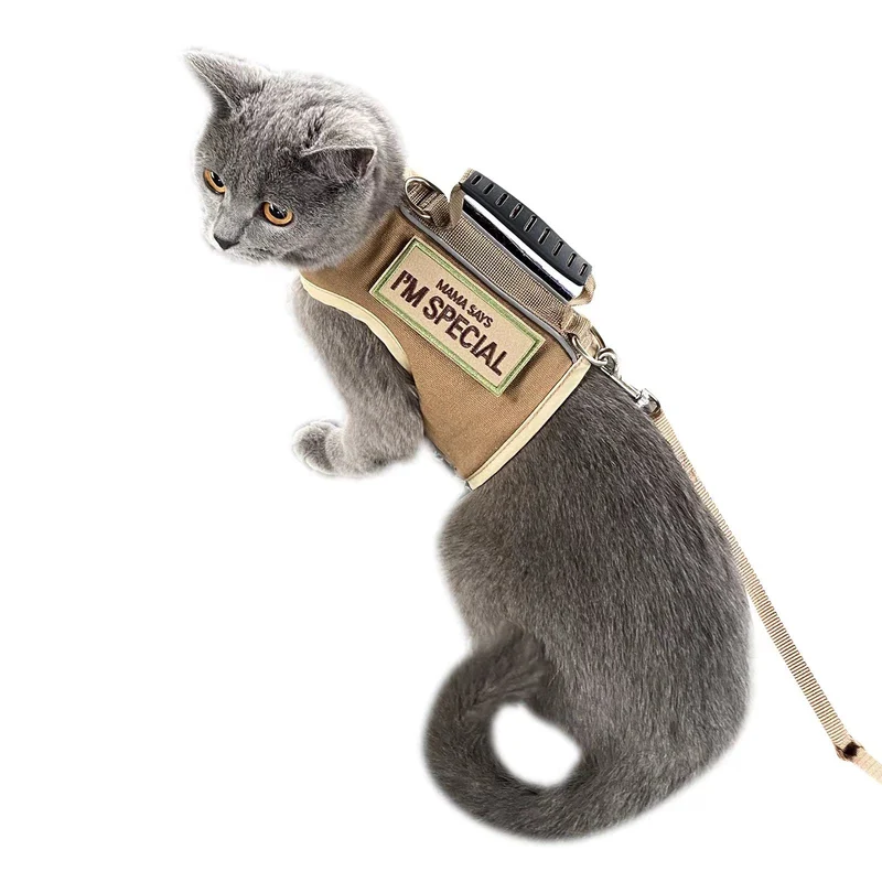 YIZHI MIAOW Harnais et Laisse Chat Tactique — Anti-Évasion, Ajustable, Rembourré, Kaki, Taille Large
