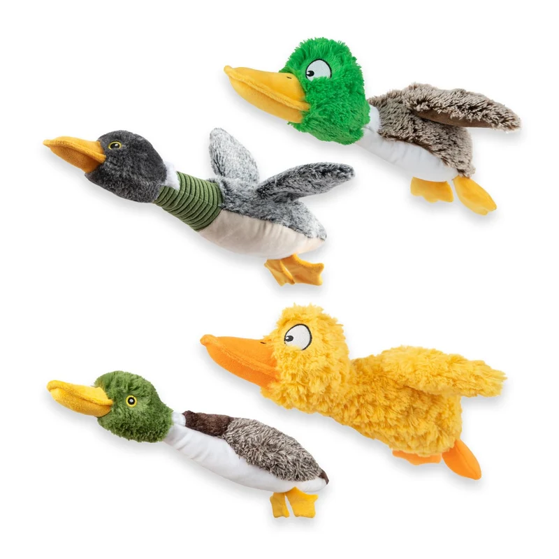 Best Pet Supplies — Jouet Interactif pour Chien qui Grince et Mâche (Canard, Boîte Mystère) – Grand