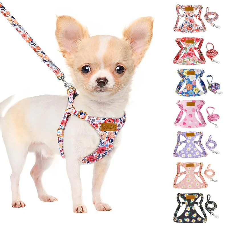 SlowTon Harnais Chien Sans Tirage et Laisse — Léger, Motif Fleuri, Ajustable XS