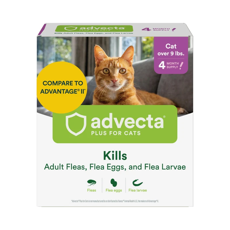Advecta Plus : Traitement topique anti-puces pour chats et chatons — action rapide, sans parfum, lot de 4 mois