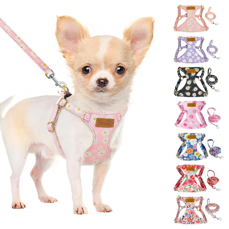 SlowTon Harnais Chien Sans Tirage avec Laisse - Léger, Motif Floral Rose Daisy XXS