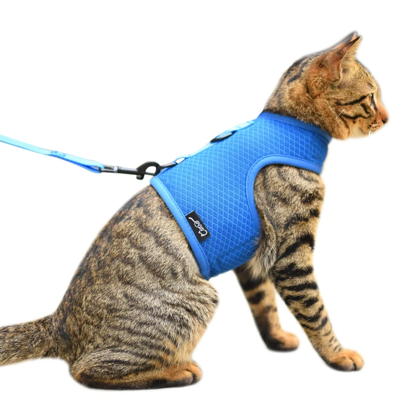 YIZHI MIAOW Harnais et Laisse pour Chat – Harnais en Mesh Respirant Bleu, Taille L
