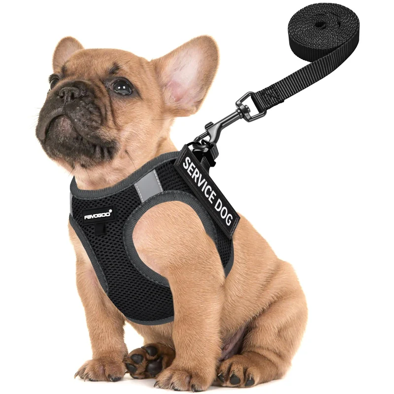 Fayogoo Gilet de Service pour Petit Chien – Harnais Léger avec 6 Patchs Détachables