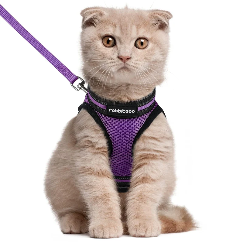 Rabbitgoo Harnais et Laisse pour Chat – Confort Doux, Ajustable, Anti-Fuite, Bandes Réfléchissantes, Violet, Taille L