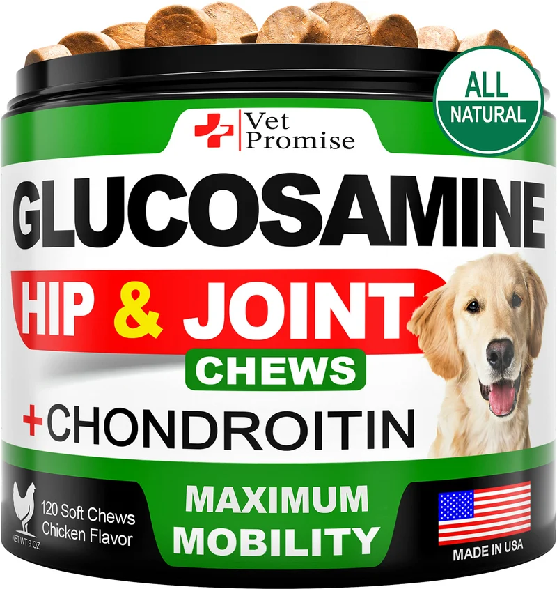 Vet Promise Glucosamine pour Chiens – Soutien des hanches et des articulations | 120 friandises mobilité | Fabriqué aux États-Unis