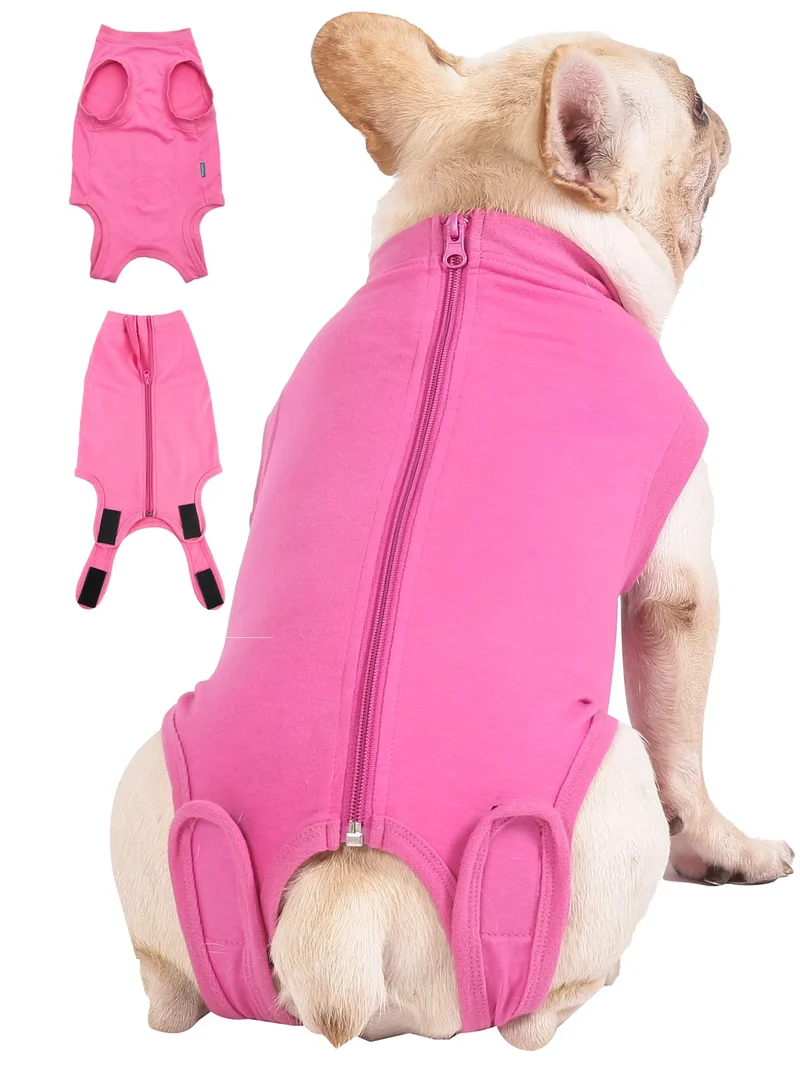 Caslfuca – Combinaison de récupération post-op pour chien après stérilisation