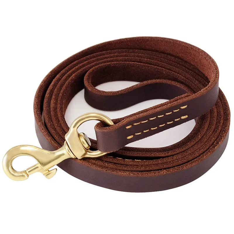 FAIRWIN Laisse en Cuir pour Chien 6 Pieds – Entraînement Puissant, Pour Chiens Taille Moyenne à Grande, Marron Rougeâtre