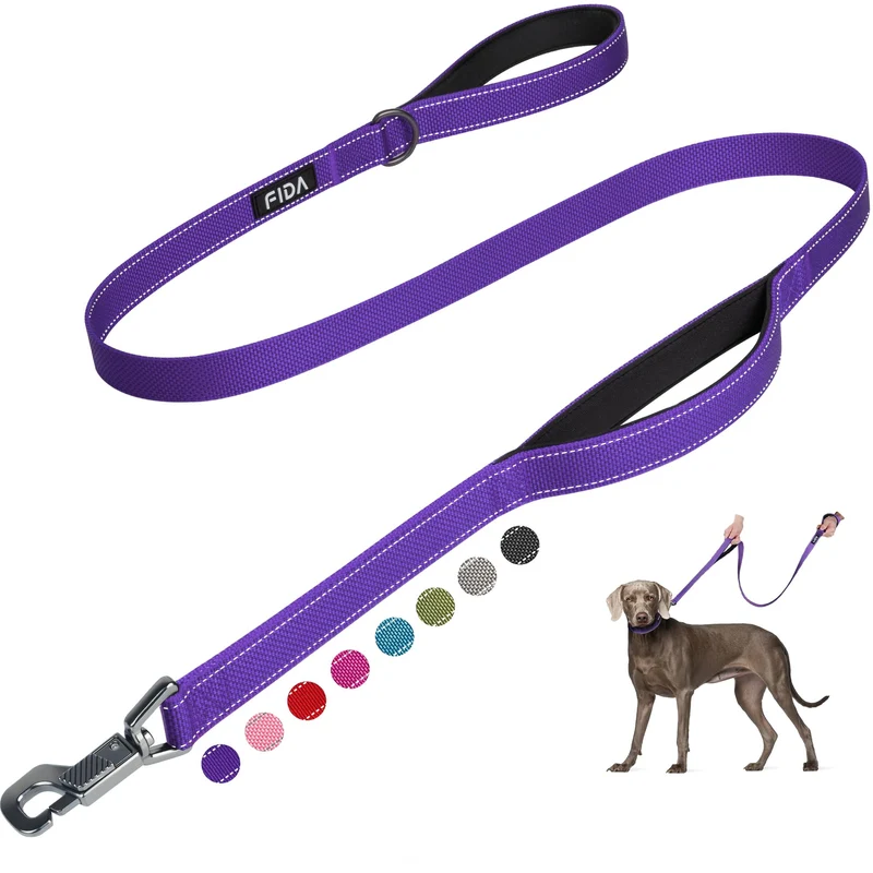 Fida Laisse pour Chien 5 ft – Double Poignées Rembourrées, Crochet Avancé et Réfléchissante – Violet