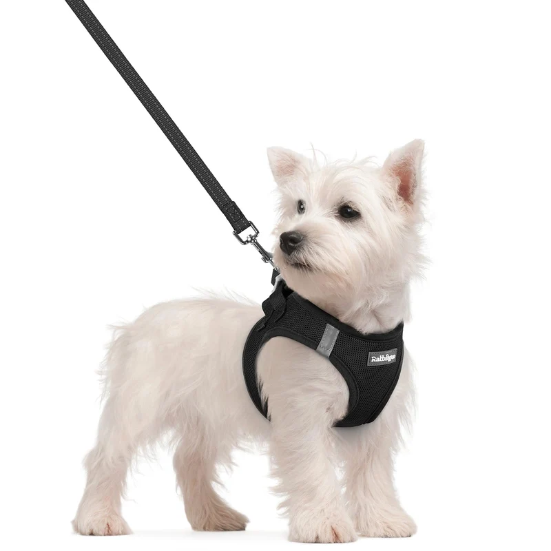 Rabbitgoo Harnais Chien Petit + Laisse – Step-in Doux et Réfléchissant, Respirant, Noir Taille S