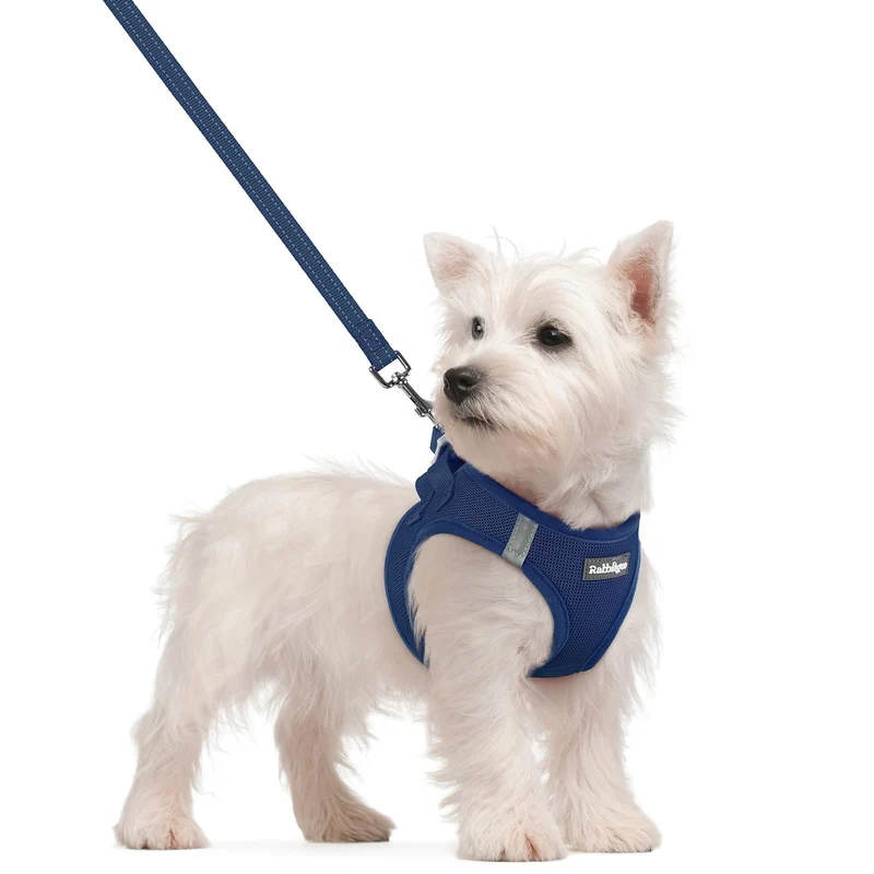 Rabbitgoo Harnais pour Chien Petit à Enfiler – Laisse Incluse, Respirant et Réfléchissant, Bleu Marine