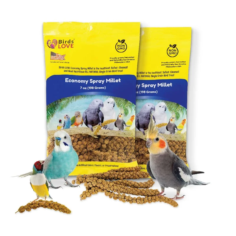 Birds LOVE Millet en spray Économique – Sans tiges, Sans OGM, 198 g environ, Lot de 2