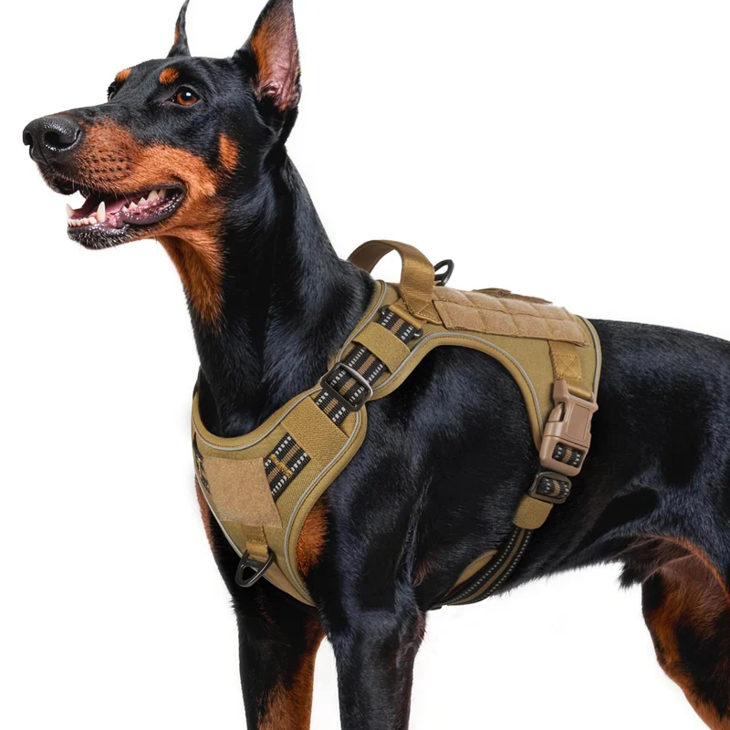 rabbitgoo Harnais Chien Grand Taille Sans Traction — Harnais Tactique avec Molle et Poignée, Réglable et Réfléchi | Marron L