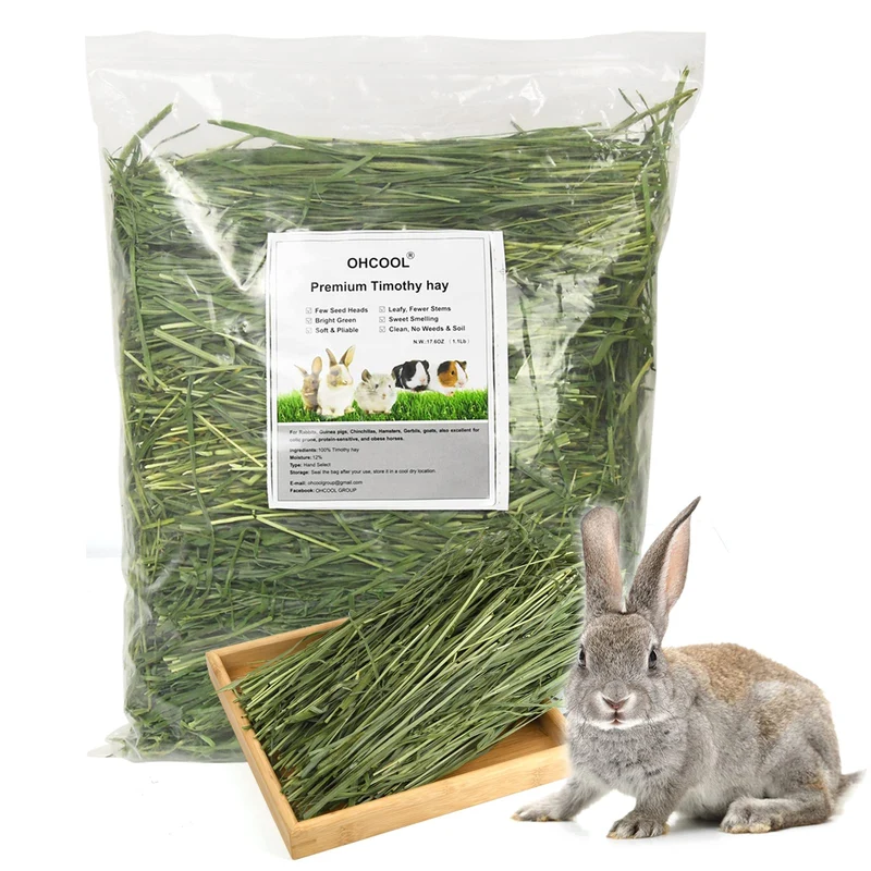 Ohcool Foin de Timothy 1,1 lb – Foin sans poussière et frais pour lapins, tortues, cochons d’Inde et chinchillas