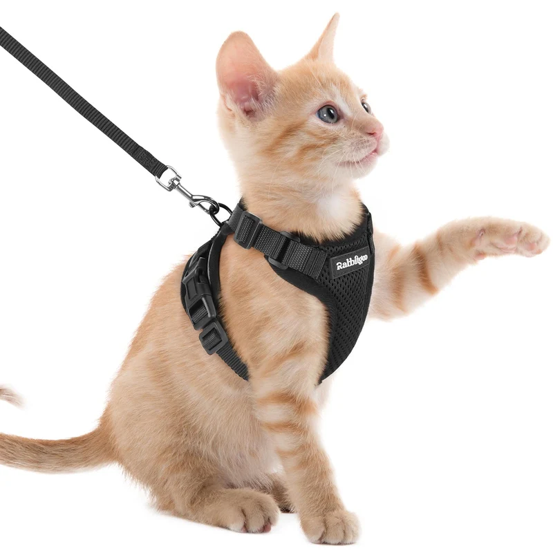 Rabbitgoo Harnais et Laisse pour Chat – Anti-Fuite, Respirant, Réglable, Bandes Réfléchissantes – Noir XXS