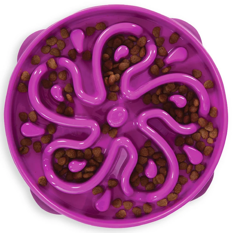 Outward Hound Fun Feeder Slo Bowl – Grand, 4 tasses, Violet, Motif Fleur – Anti-glisse