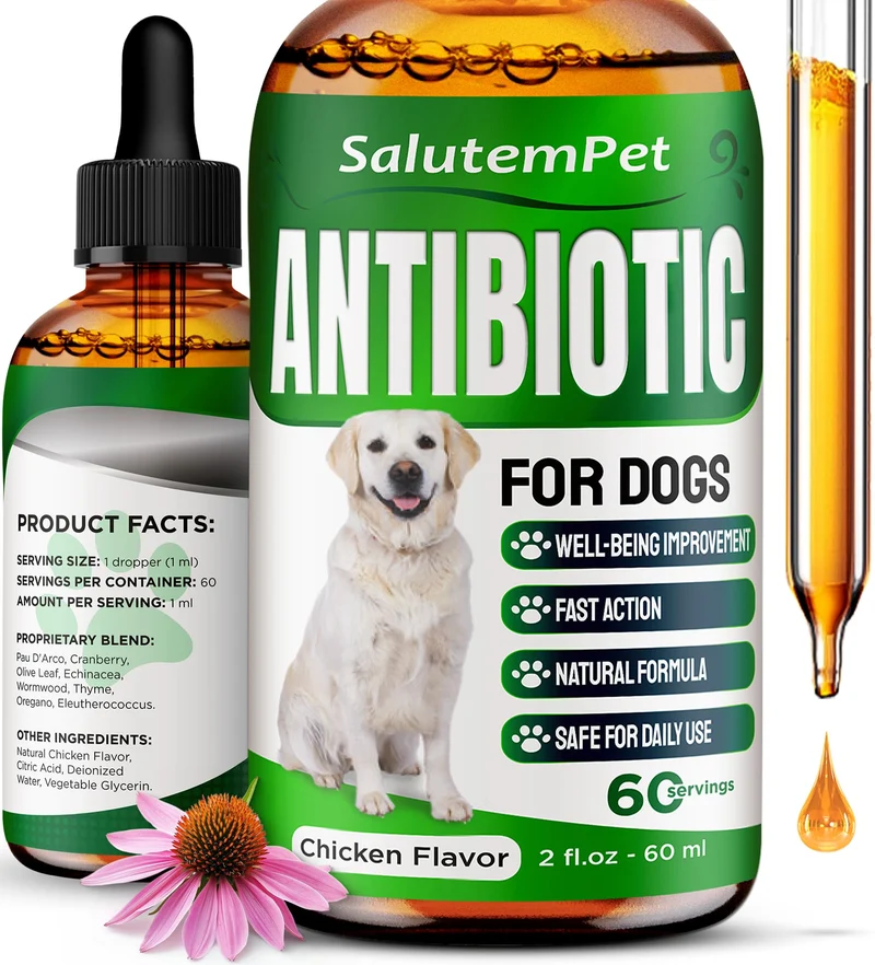SalutemPet – Antibiotiques naturels pour chiens | infections, toux et démangeaisons | goût poulet, 2 oz