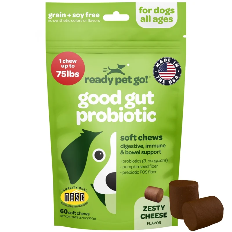 Ready Pet Go ! Friandises Probiotiques pour Chiens – Digestion, Potiron et Enzymes Digestives | NASC Certifié &Fabriqué aux États-Unis | 60 bouchées