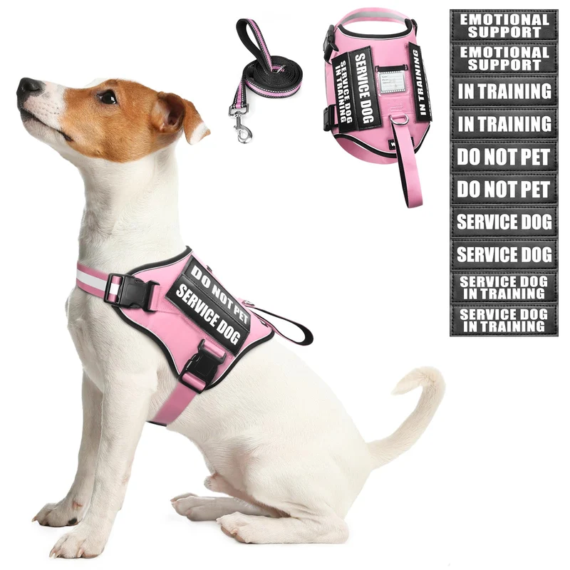 WINSEE Harnais et Laisse pour Chien — Entraînement et Soutien (Rose, Taille S)