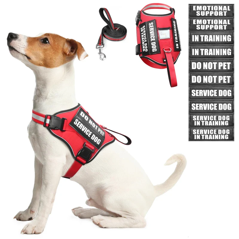 Harnais et Laisse WINSEE pour Chien d'Assistance – Ensemble avec Patchs, Rouge, Taille S