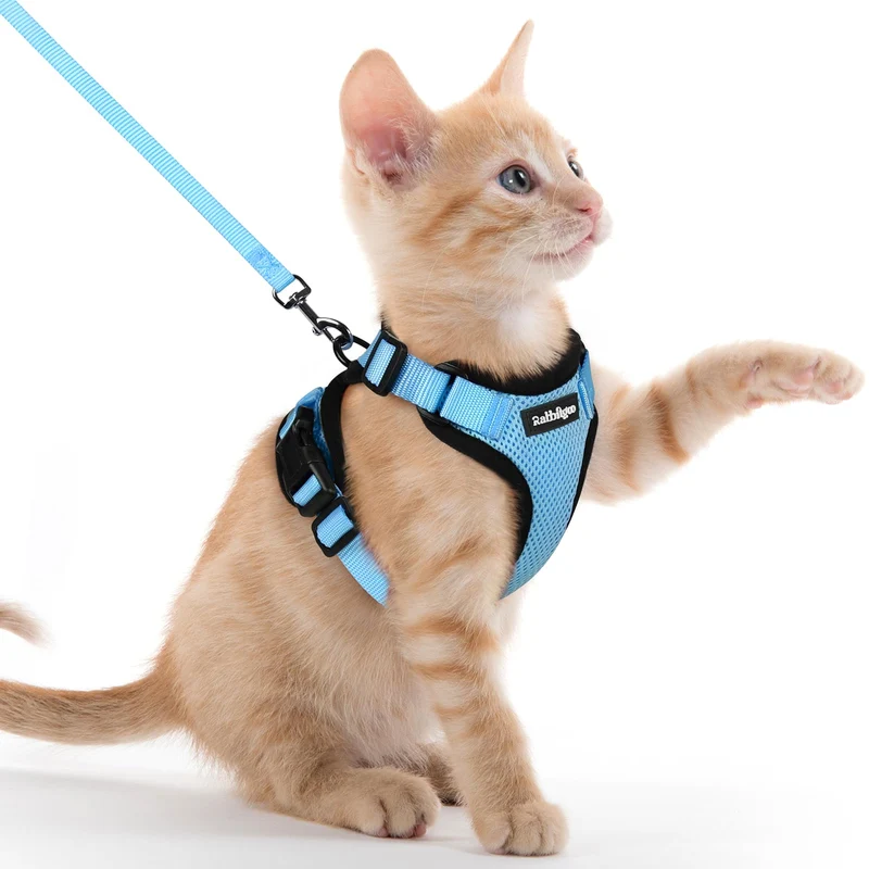Rabbitgoo Harnais et Longe pour Chat – Anti-fuite, Confort Air-Mesh, Bandes Réfléchissantes, Bleu Clair, XXS