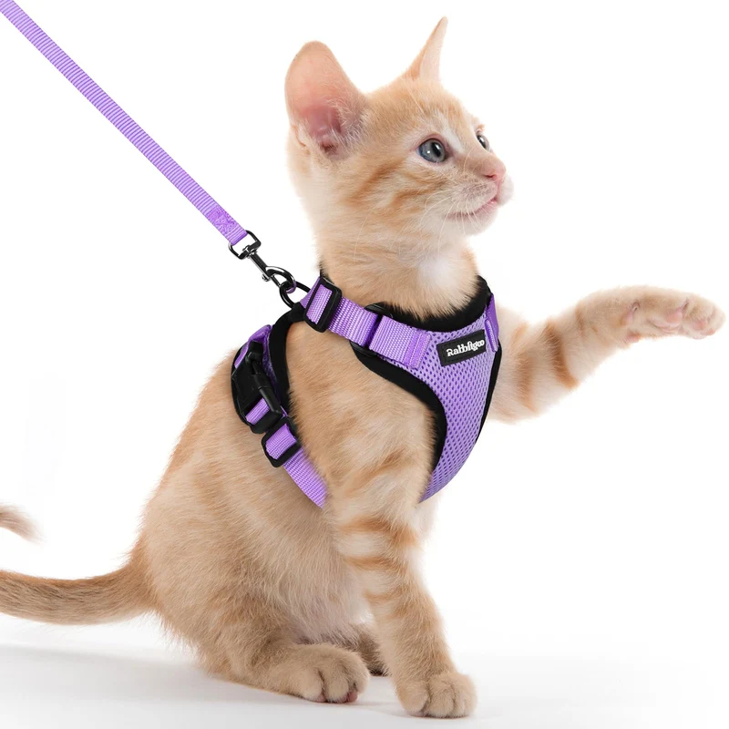 rabbitgoo Harnais et Laisse pour Chats — Anti-fuite, Respirant, Bandes Réfléchissantes, Violet Clair XXS