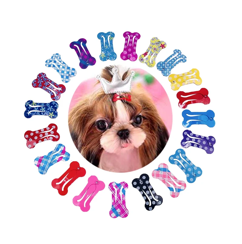 PET SHOW Pinces Os Petit Format – 20 Pièces, Couleurs Aléatoires