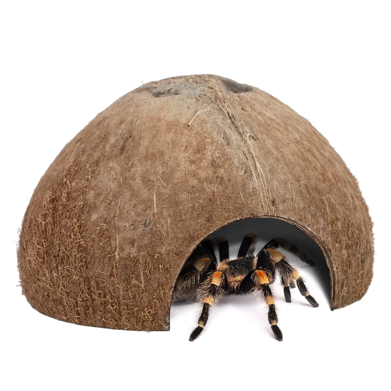 Niteangel - 2 Pack Cachettes Naturelles en Coque de Coco pour Reptiles, Lézards et Poissons d'Aquarium