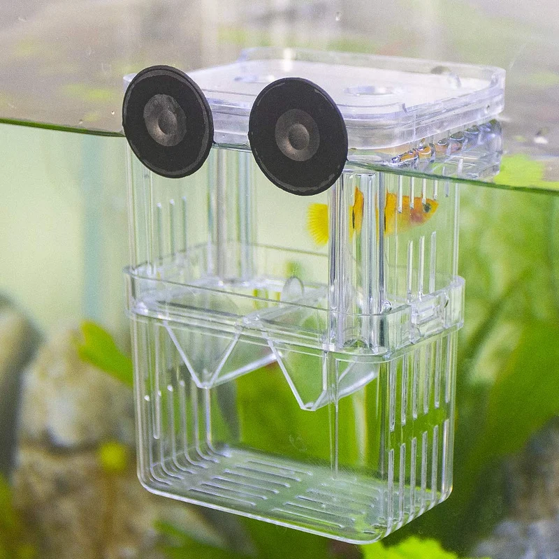 Senzeal Boîte d'Élevage Poissons – Isolation et Incubateur Transparent