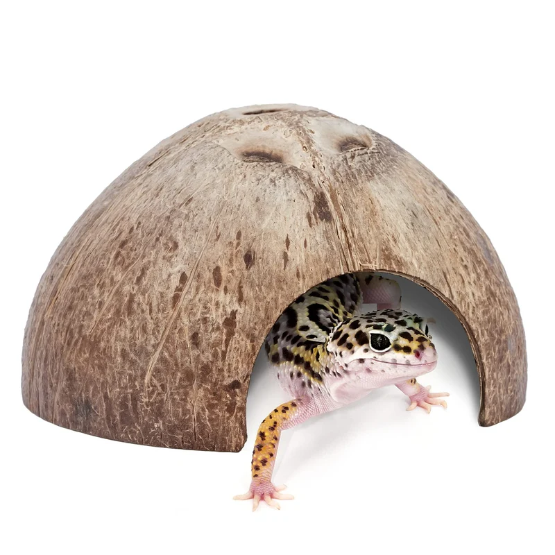 2-Pack Cachettes Naturelles en Coquille de Coco – Niteangel, Surface Lisse, Refuges pour Reptiles