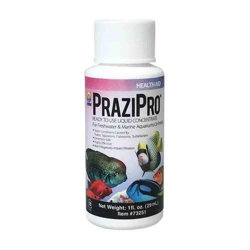 Hikari Prazipro 1oz – Traitement pour parasites d'aquarium