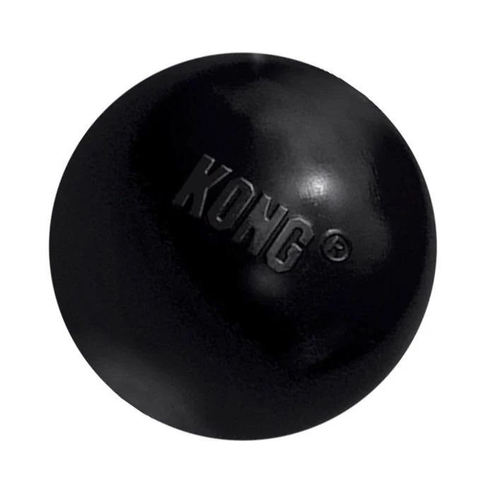 Kong Extreme Ball Dog Toy
