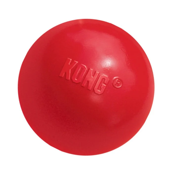 Kong Ball Dog Toy